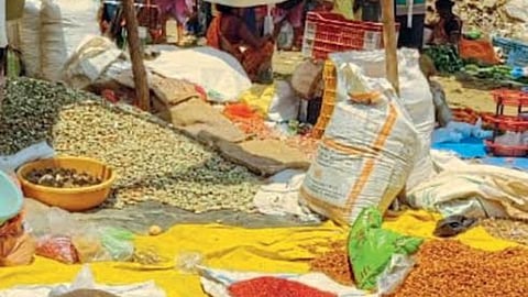 Tribal Employment