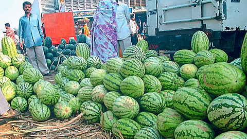 Watermelon