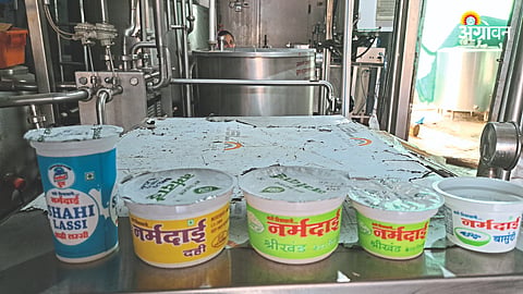 Milk Processing