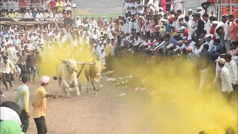 Kesari Bailgada Sharyat