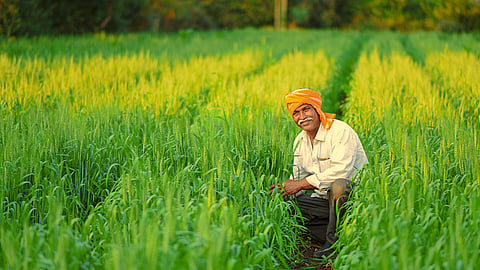 Agriculture