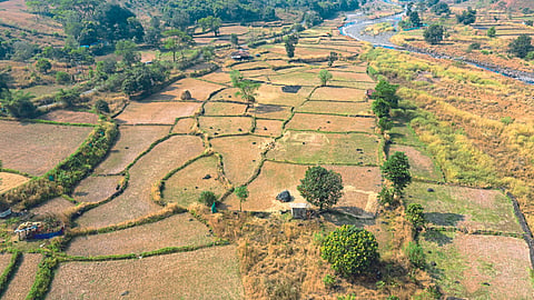 Agriculture Land