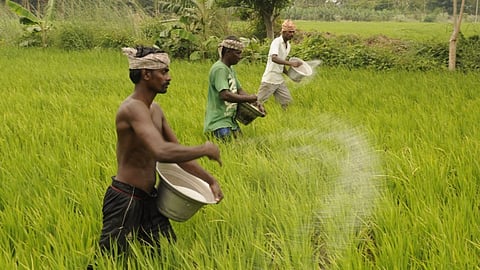 Fertilizer