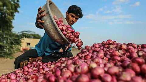 Onion Market