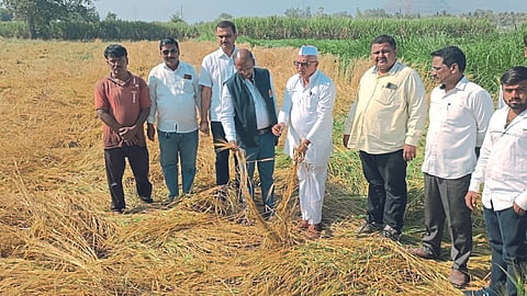 Crop Damage Survey