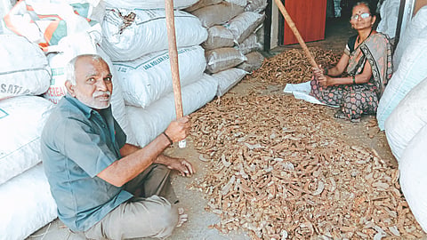 Tamarind Business