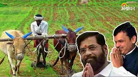 Latest Marathi News Karj Mafi Yadi 2023