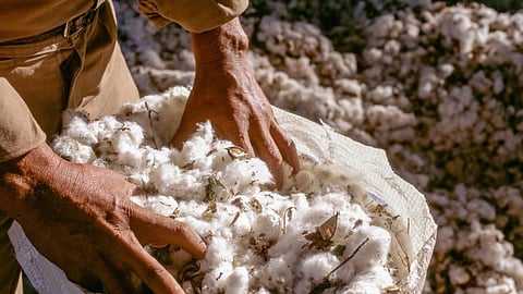 Cotton Stock 
