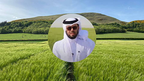 Wheat Producation 
