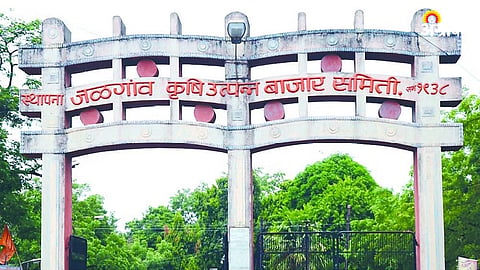 APMC Election