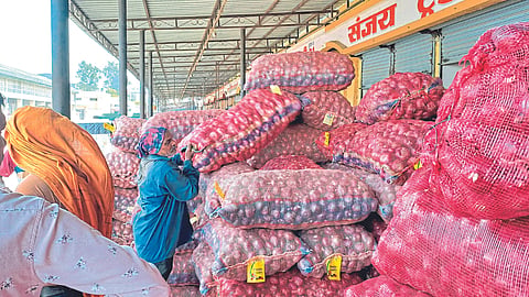 Onion Market 