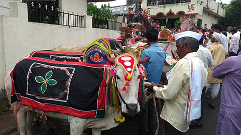 Animal Husbandry