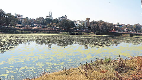 World Water Day