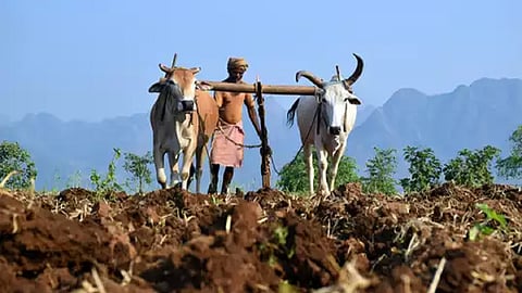 Indian Agriculture
