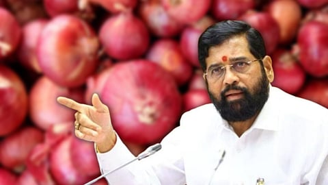 Onion Subsidy 