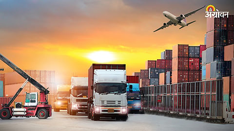Import-Export Policies