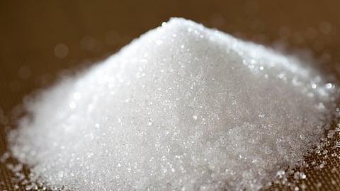 Sugar Rate 