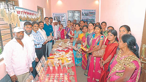 Seed Bank