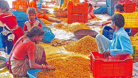 Raisin Market