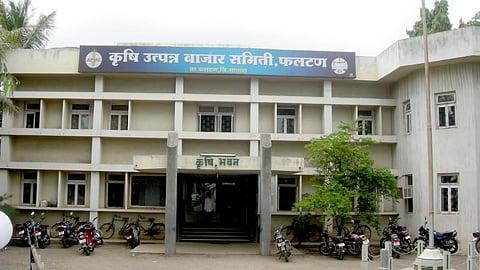 Satara Apmc Election  