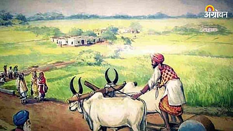 Rural Story