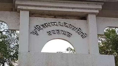APMC Election