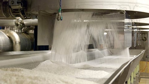 Sugar Production