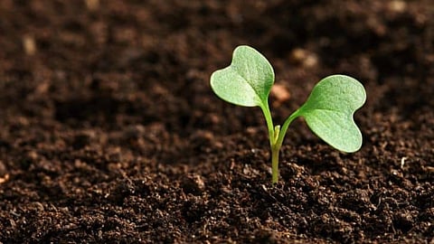 Soil Conservation