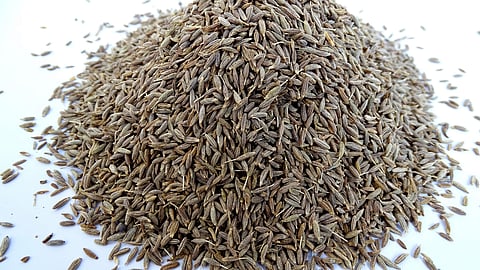  Jeera Prices