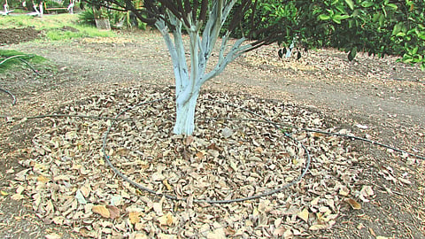 Evaporation Measures