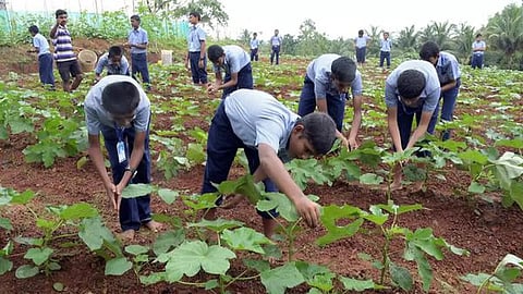 Agriculture Education