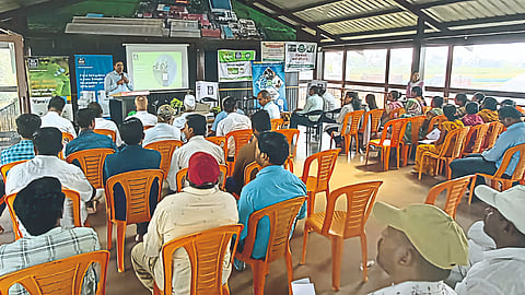 Sustainable Agriculture Guidance