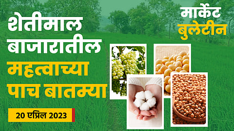 Soybean Rate