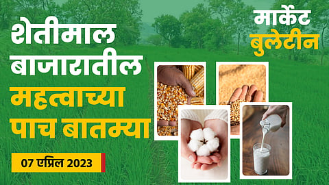 Wheat Rate