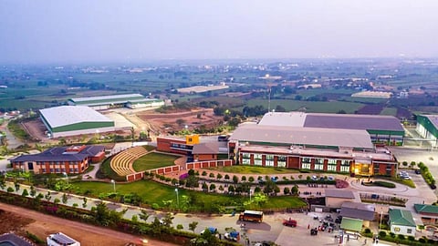 Sahyadri Farms