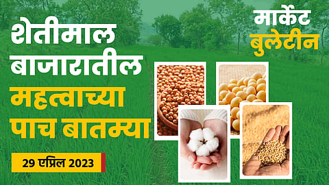 Soybean Rate
