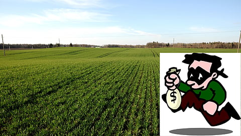 Agriculture Scam 
