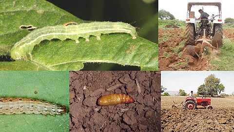 Crop Protection Practices