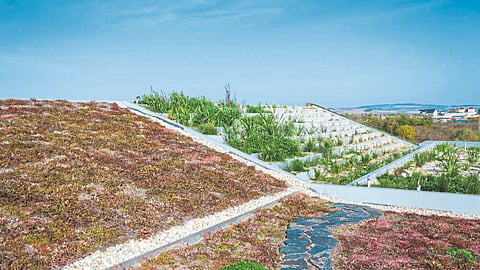 Waste Water Treatment