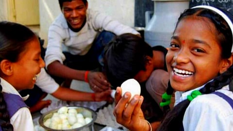 Eggs In Midday Meal