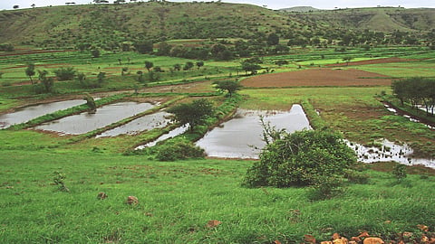 Rural Development