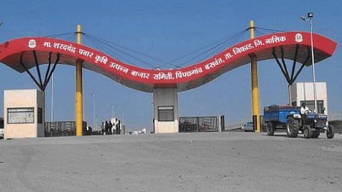 Nashik APMC 