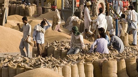 Chana Market Update 