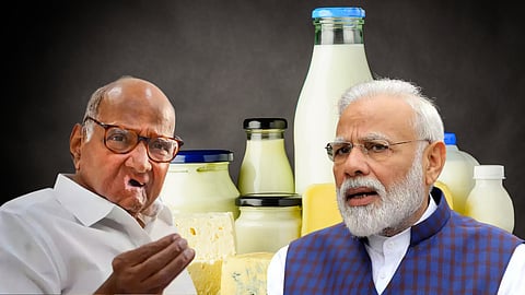 Dairy 