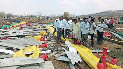 Crop Damage In Nashik 