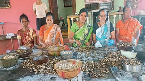 Cashew nut processing industry