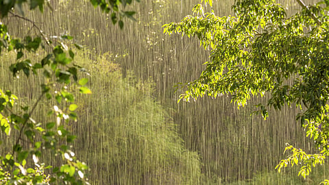 Rain News
