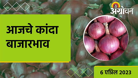 Onion Rate 
