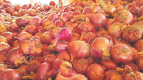 Onion Crop Damage