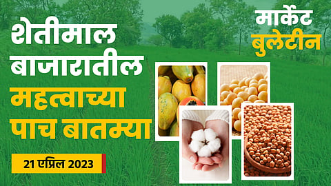 Soybean Rate 